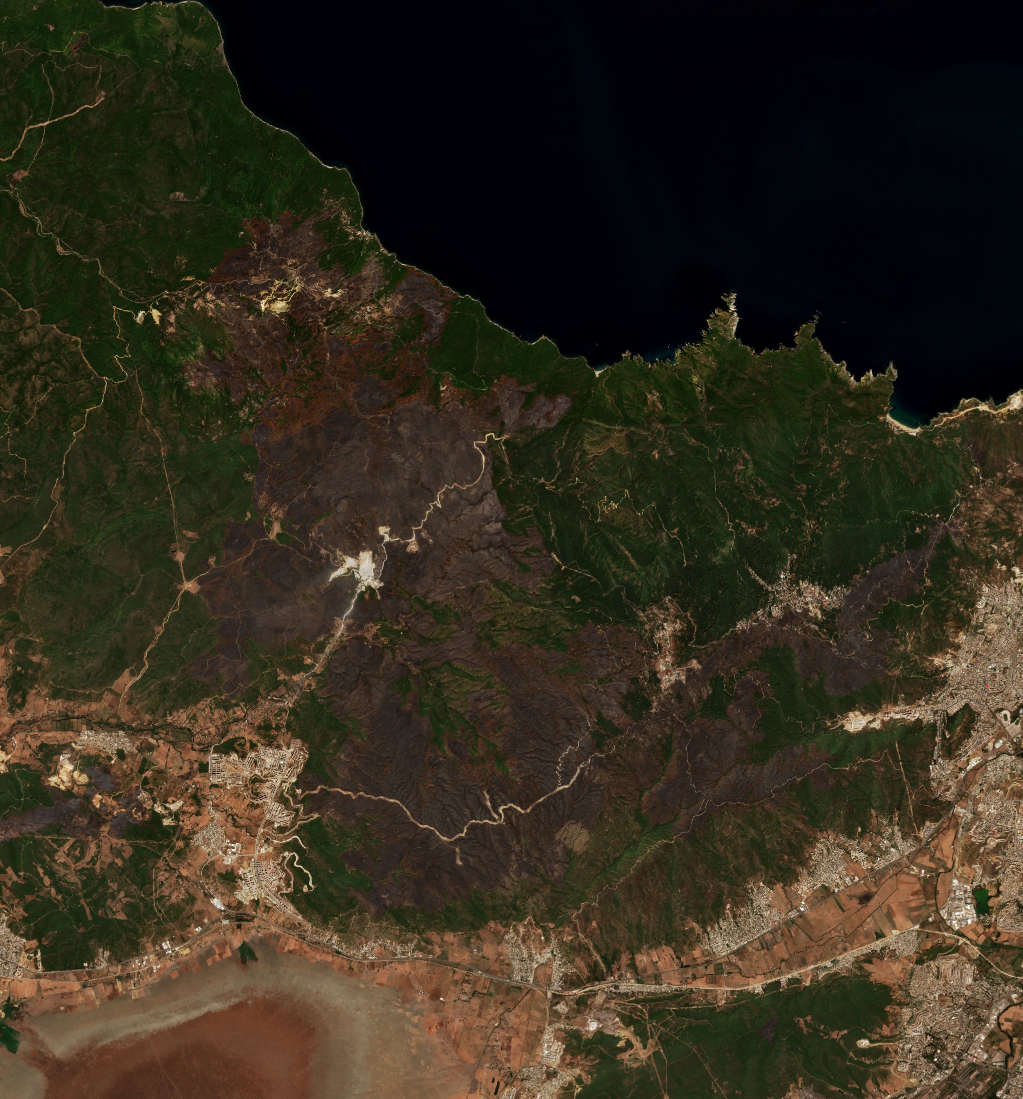 A Annaba térségében pusztító tűz leégett területe műholdról, 2026. szeptember 6.