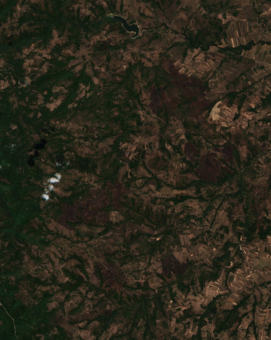 Leégett erdő Szerbia — Sentinel-2 műholdfelvétel, 2026-09-17