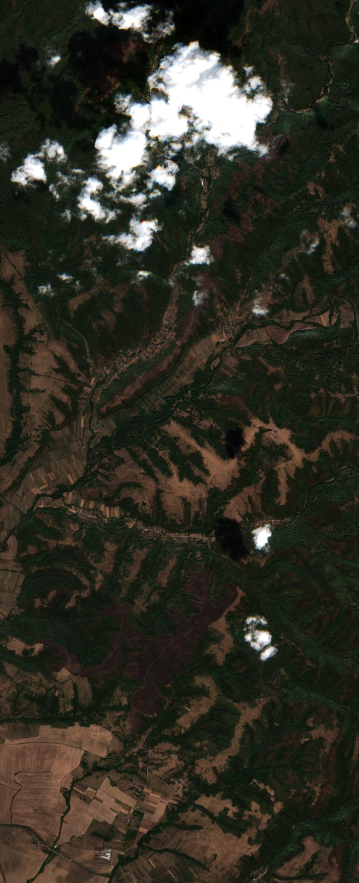 Leégett erdő Románia — Sentinel-2 műholdfelvétel, 2026-09-27