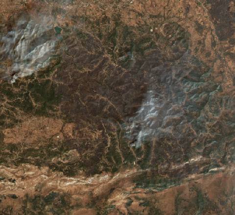 ’Aïn el Hammam térségében 2021-ben