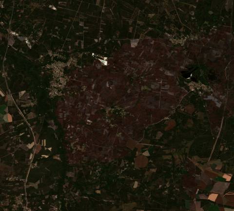 Belin-Béliet térségében 2022-ben