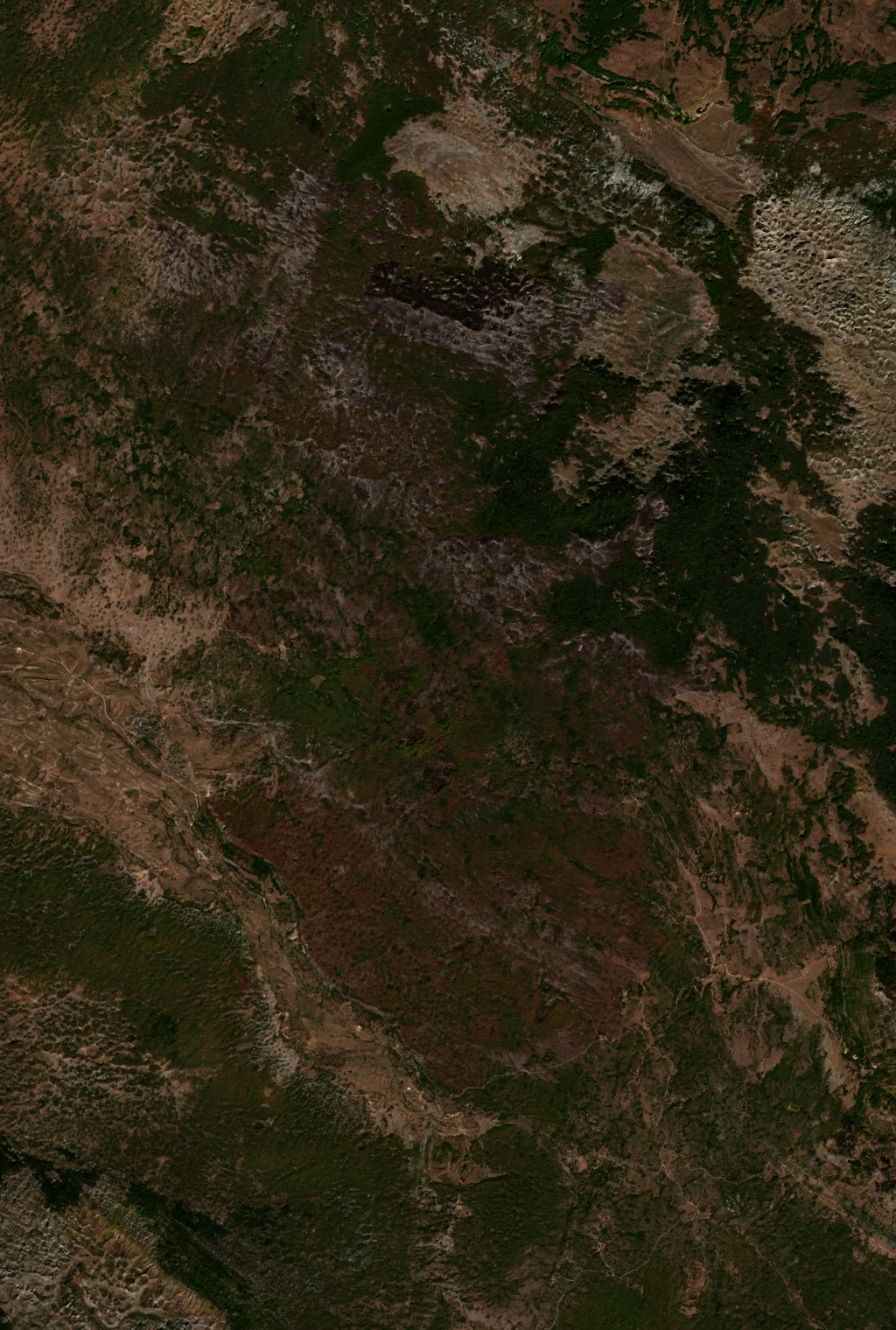 Leégett erdő Montenegró — Sentinel-2 műholdfelvétel, 2026-09-27