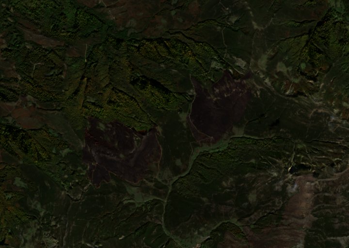 A terület a tűz után, 2026. október 15.