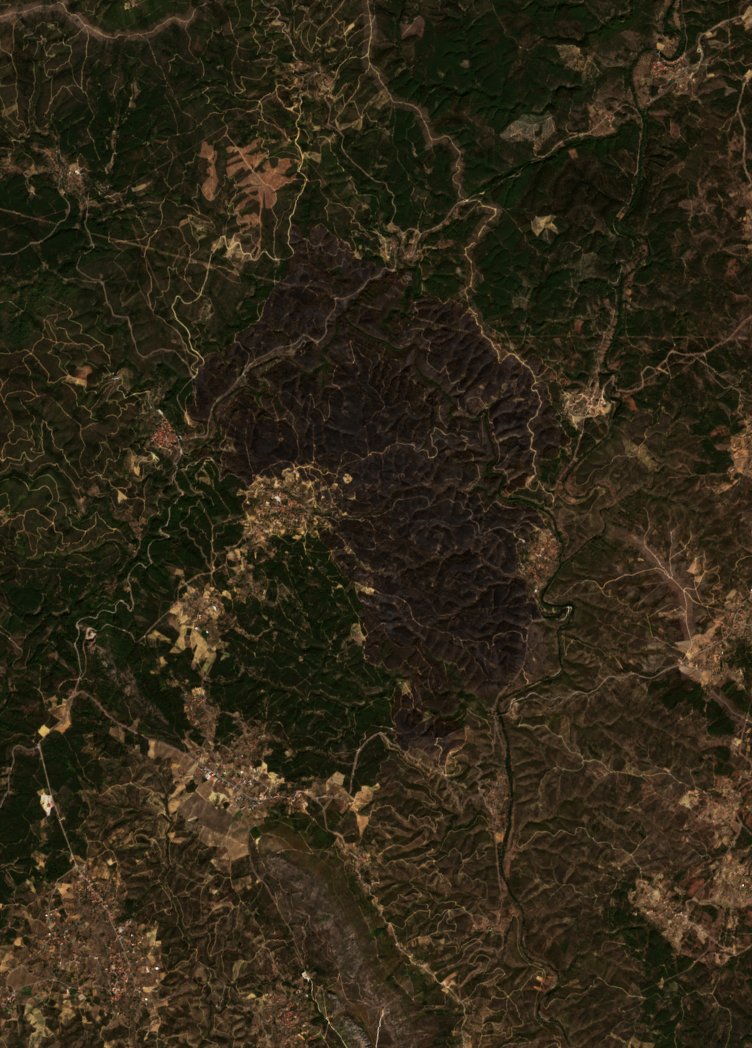 A terület a tűz után, 2026. szeptember 25.