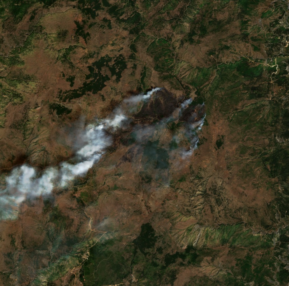 Leégett erdő Albánia — Sentinel-2 műholdfelvétel, 2026-08-15