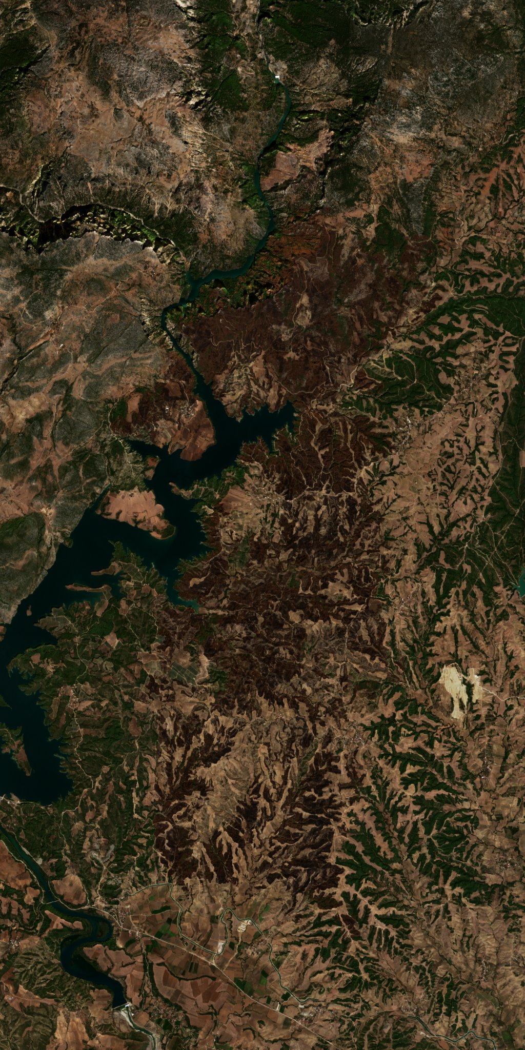 Leégett erdő Törökország — Sentinel-2 műholdfelvétel, 2026-09-26