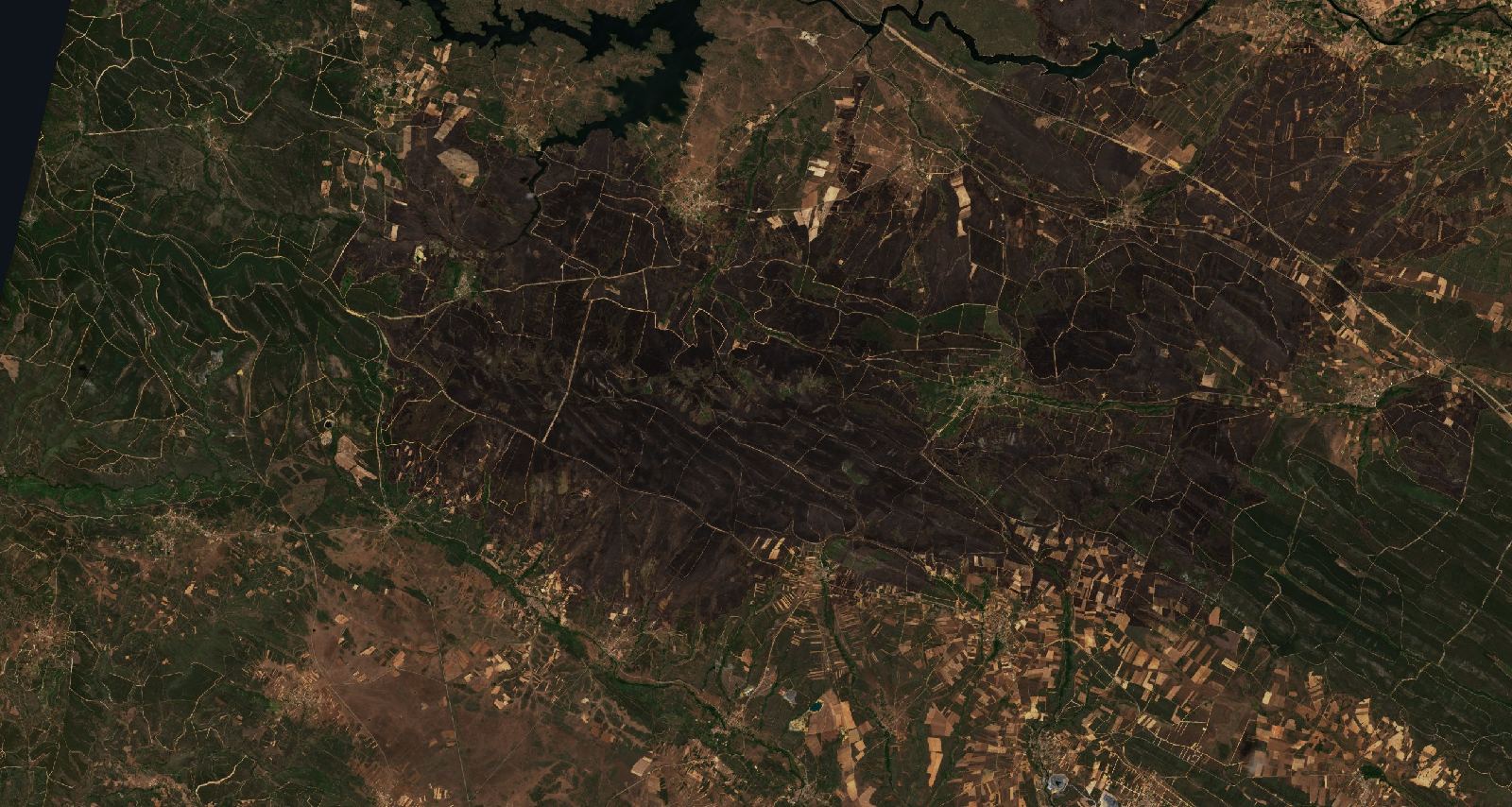 A terület a tűz után, 2022. június 25.