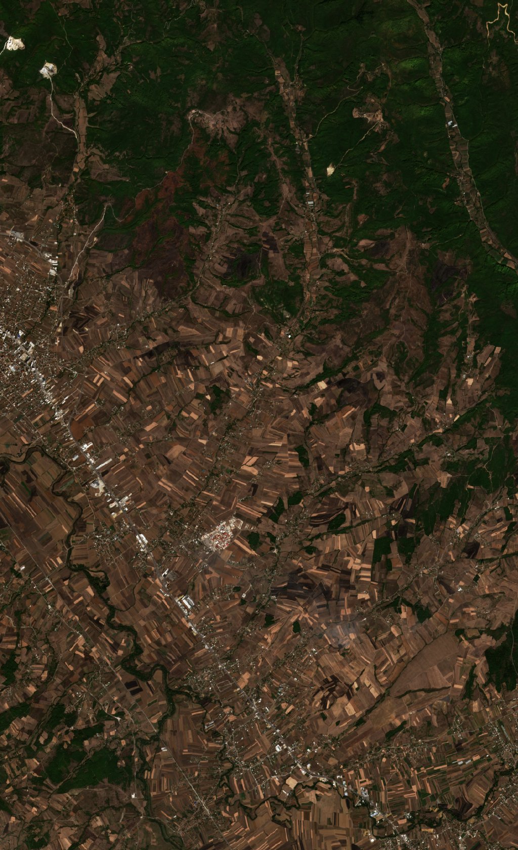 A terület a tűz után, 2026. október 4.